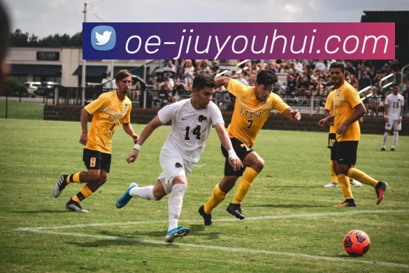 九游会J9官网平台生态图